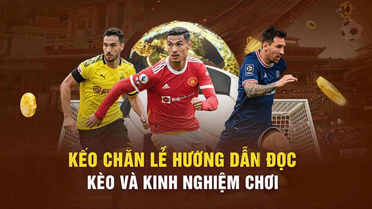 Khuyến mãi trên 6623 – bước kiểm tra thực tế